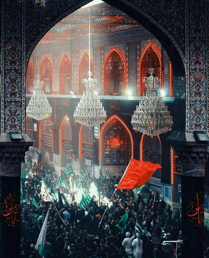 صور مميزة التقطت في زيارة الاربعين - (21-11-2016)